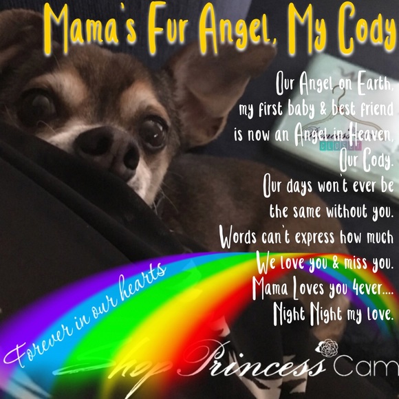 Meet Your Sassy Stylist, Ambassador PrincessCam! - Picture 2 of 8